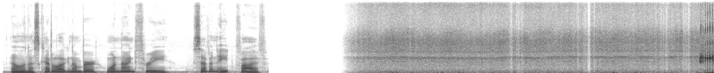 Small-eared Tree Frog - ML193785