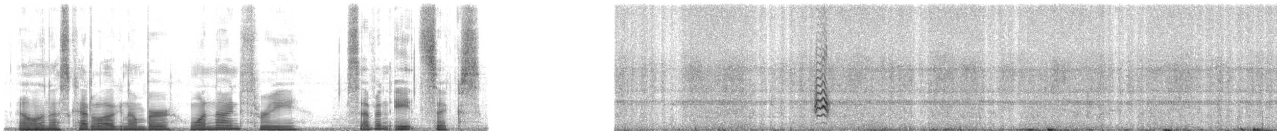 Small-eared Tree Frog - ML193786