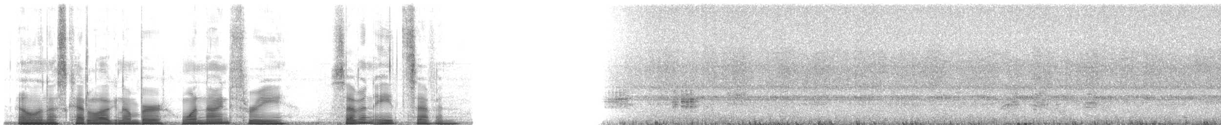 Small-eared Tree Frog - ML193787