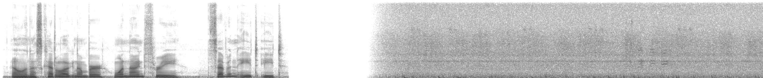 Small-eared Tree Frog - ML193788