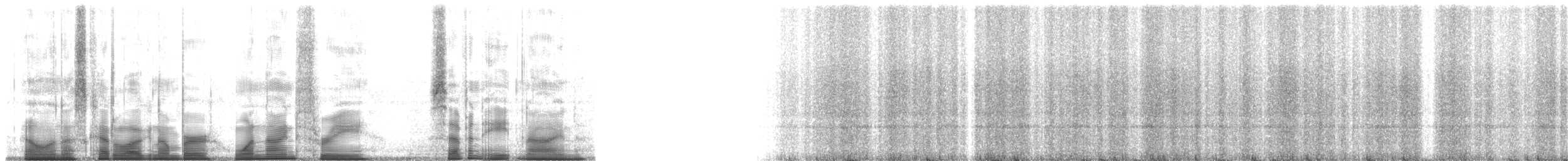 Small-eared Tree Frog - ML193789