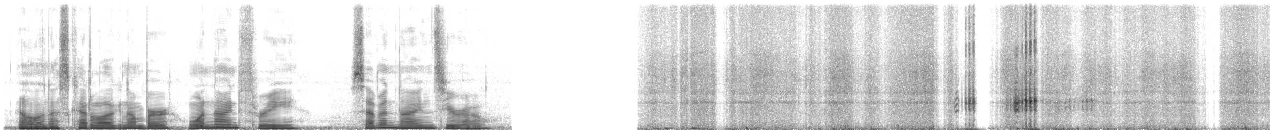 Small-eared Tree Frog - ML193790