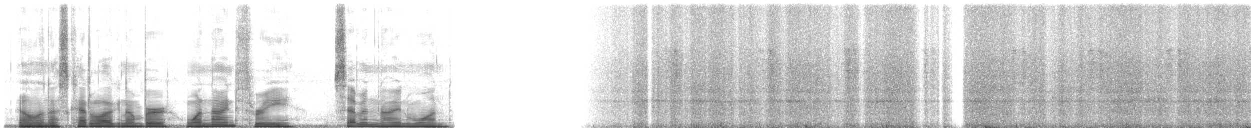 Small-eared Tree Frog - ML193791