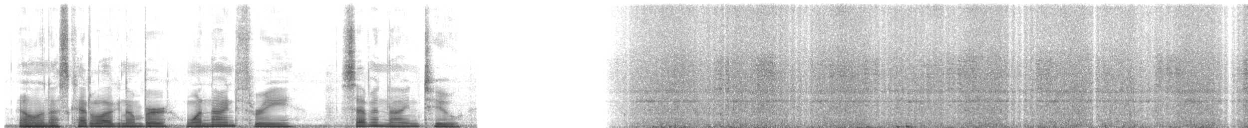 Small-eared Tree Frog - ML193792