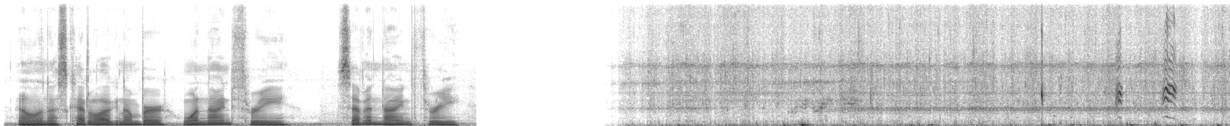 Small-eared Tree Frog - ML193793