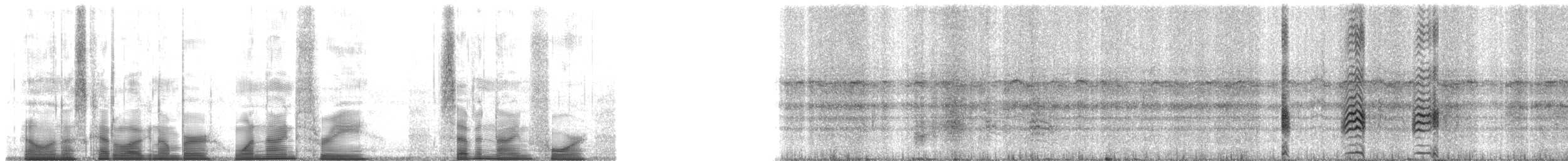 Small-eared Tree Frog - ML193794