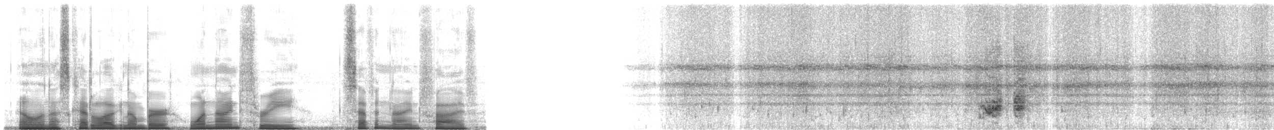 Small-eared Tree Frog - ML193795