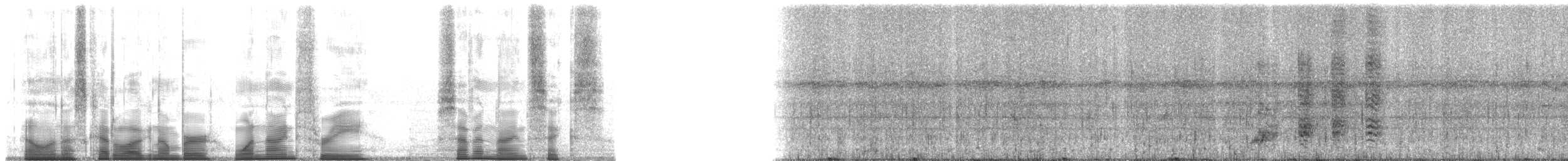 Small-eared Tree Frog - ML193796