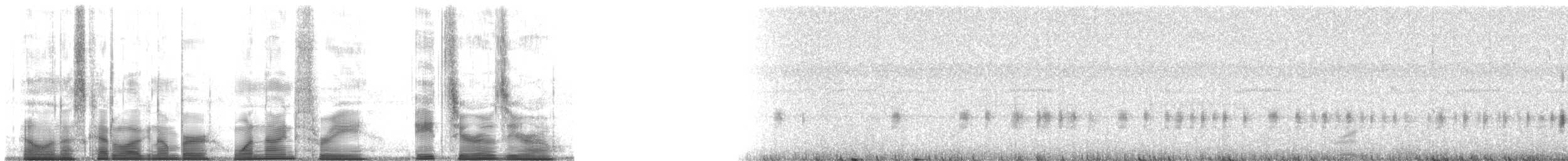 Taylor's Yellow Tree Frog - ML193800