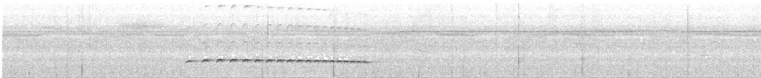 Batarito Coronipunteado - ML193800811