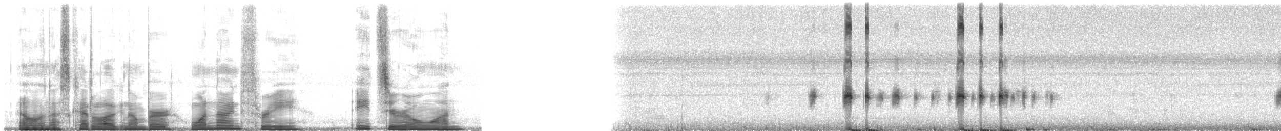 Taylor's Yellow Tree Frog - ML193801