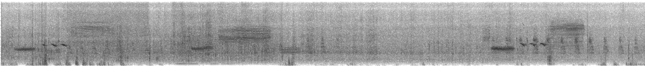 Grass Wren - ML193801491