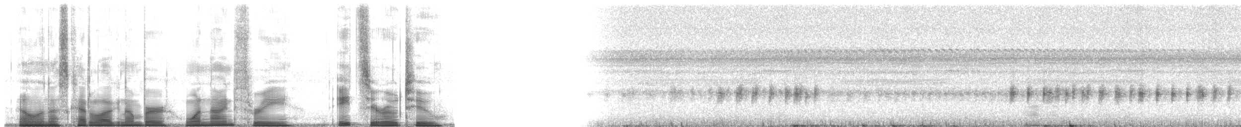 Taylor's Yellow Tree Frog - ML193802