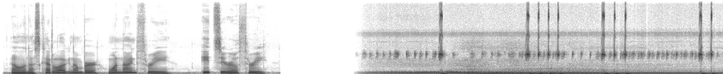 Taylor's Yellow Tree Frog - ML193803