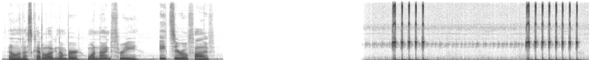 Taylor's Yellow Tree Frog - ML193805