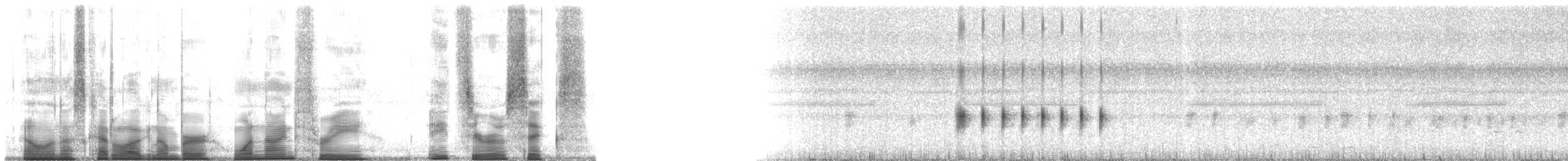 Taylor's Yellow Tree Frog - ML193806