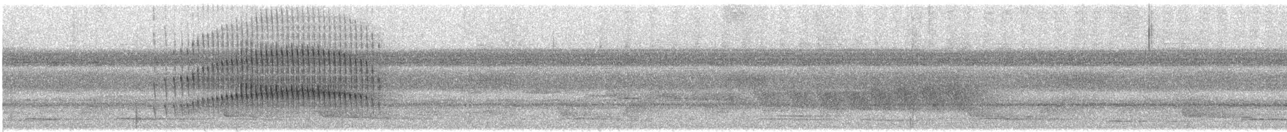 Microxénops à queue rousse - ML193813321
