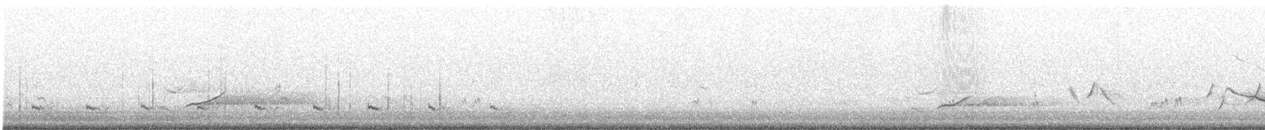 Rufipenne de Tristram - ML193860251