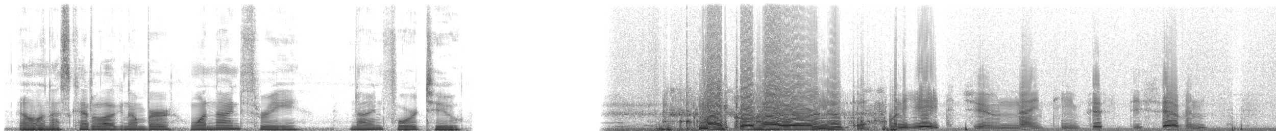 Frogs and Toads - ML193942