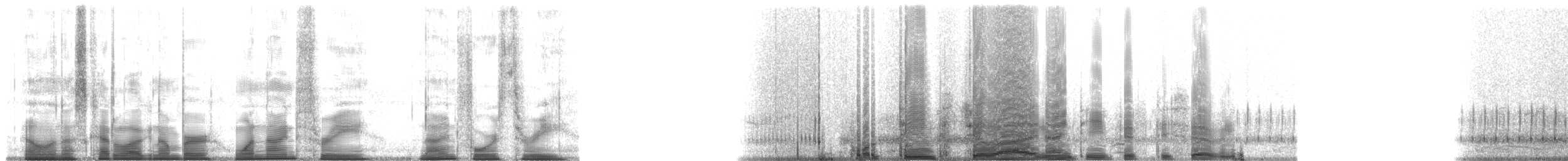 Frogs and Toads - ML193943