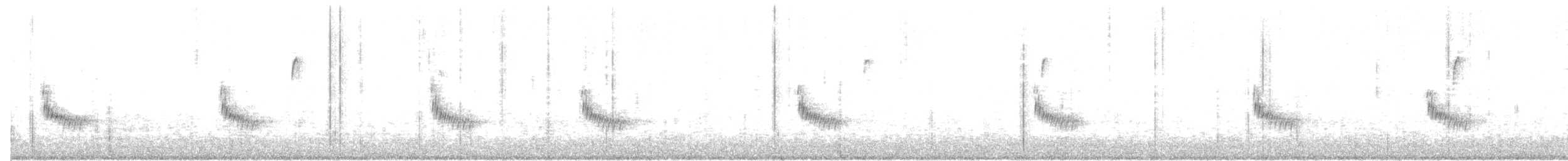 Поплітник каролінський - ML193948841