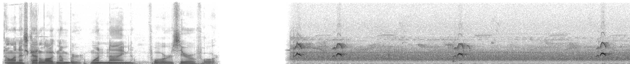 Copetón Apical - ML19404