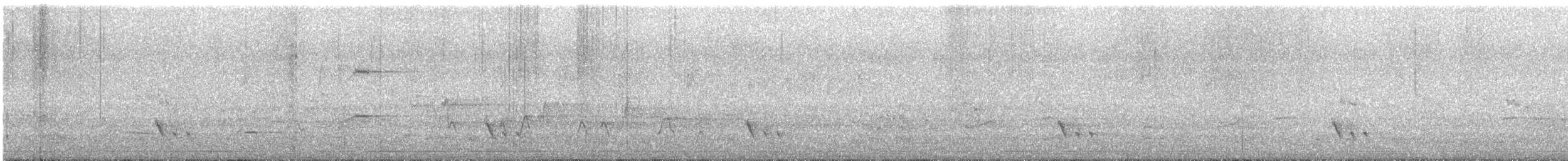 Benekli Panterkuşu (punctatus) - ML194078441