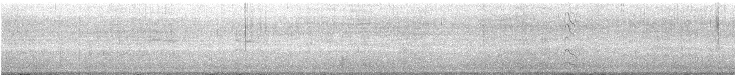 オーストラリアクロミヤコドリ - ML194082051