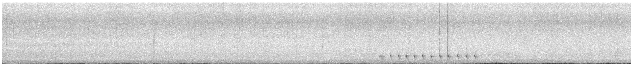 White-eared Honeyeater - ML194085781