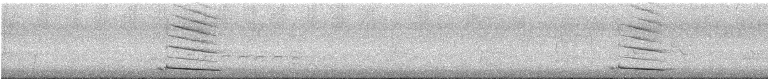 Avustralya Saksağanı (telonocua/tyrannica) - ML194089321