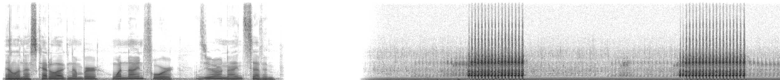 Canyon Tree Frog - ML194097