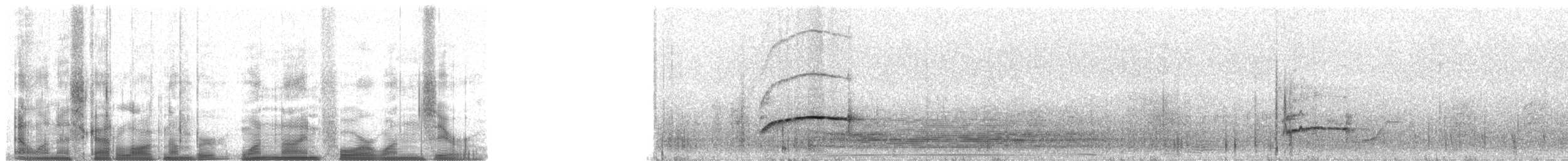 Gri Alınlı Sinekkapan (phaeocephalus) - ML19410