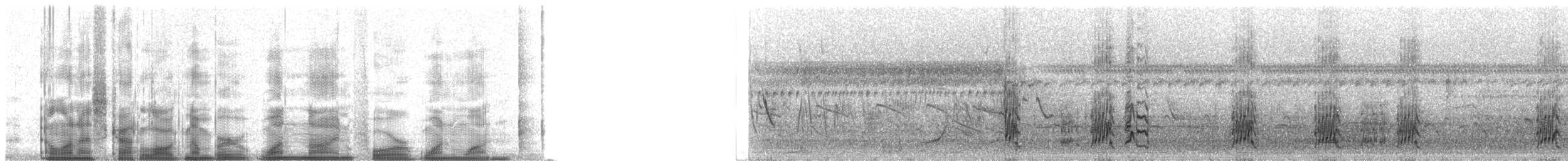 sothodetyrann (phaeocephalus) - ML19411