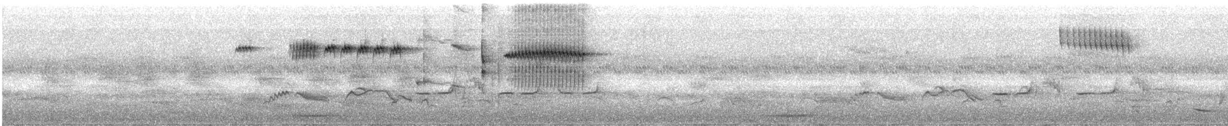 Peters's Twinspot - ML194113931