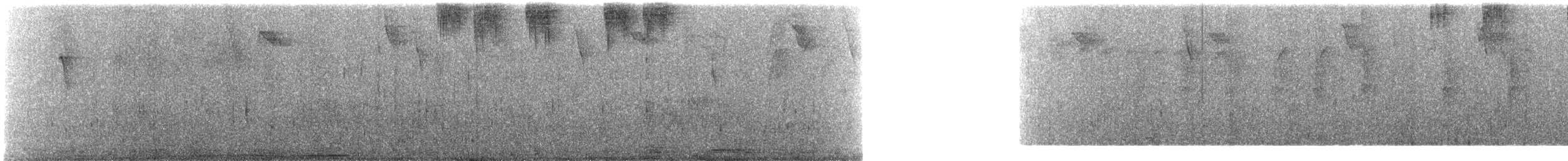 Kara Yakalı Kolibri - ML194117591