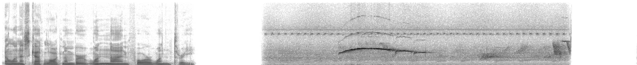 sothodetyrann (phaeocephalus) - ML19413