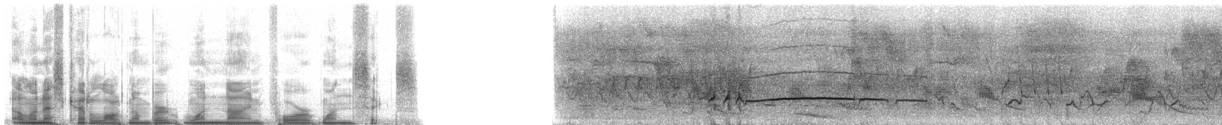 Rußkappen-Schopftyrann (phaeocephalus) - ML19416