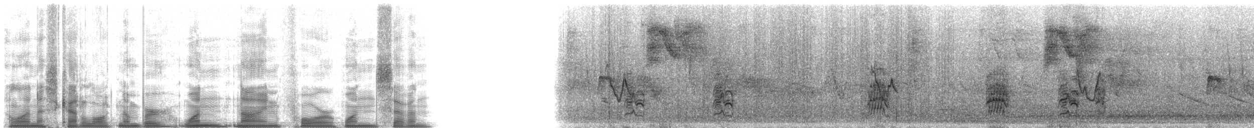 sothodetyrann (phaeocephalus) - ML19417