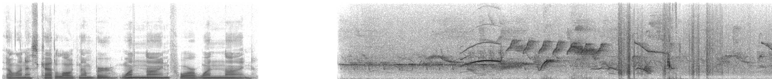 Gri Alınlı Sinekkapan (phaeocephalus) - ML19419