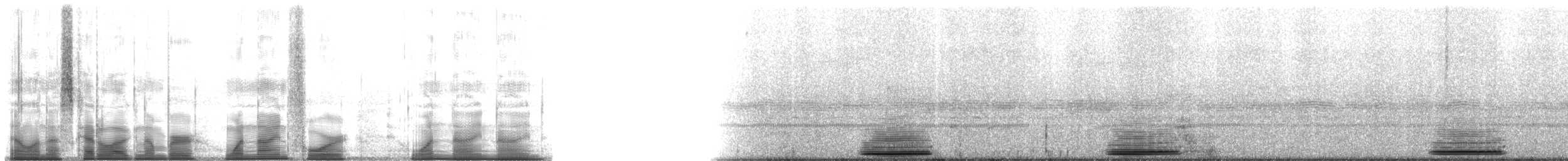 Colombian Four-eyed Frog - ML194199