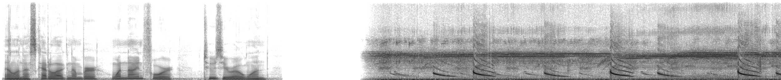 Túngara Frog - ML194201