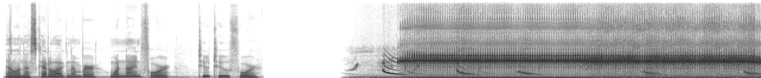 Gulf Coast Toad - ML194224