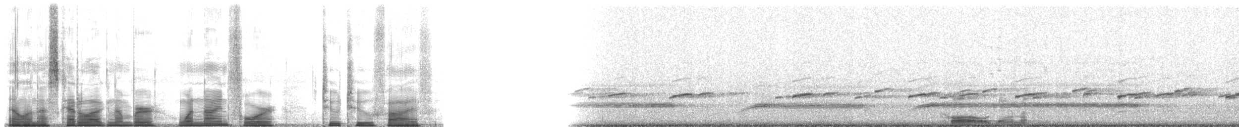 Fowler's Toad - ML194225