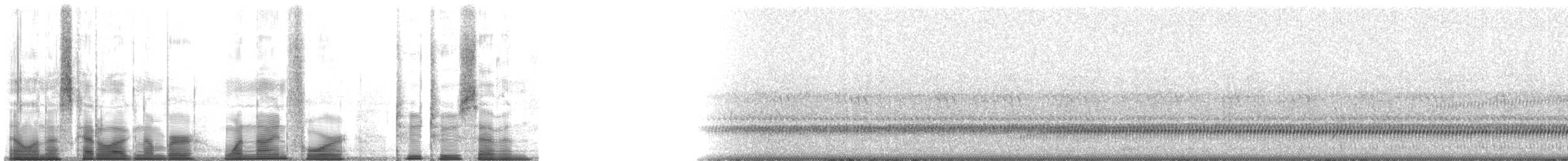 Red-spotted Toad - ML194227