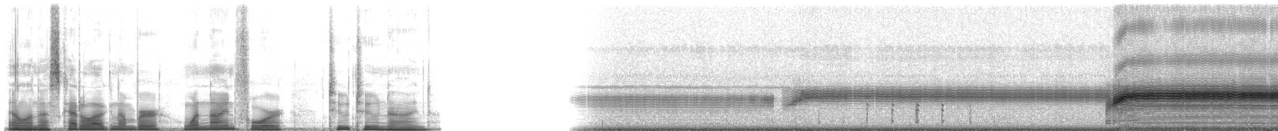 Sonoran Green Toad - ML194229