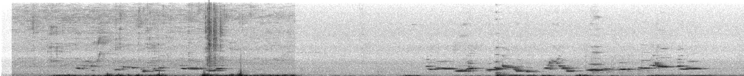 Avustralya Saksağanı (telonocua/tyrannica) - ML194248851