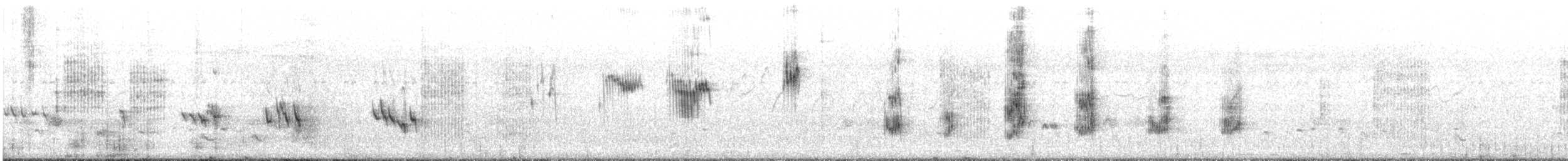 Long-tailed Shrike - ML194301151