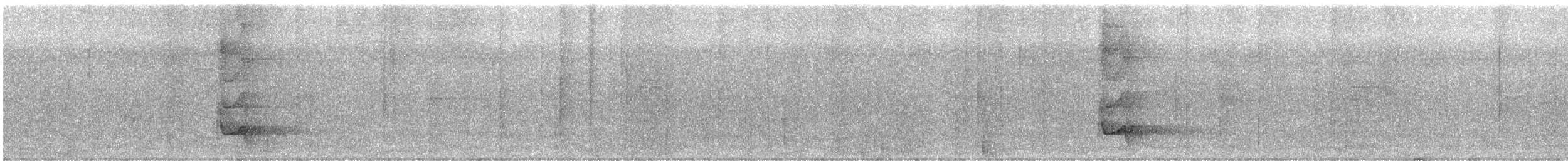 Ivory-billed Woodcreeper - ML194334111