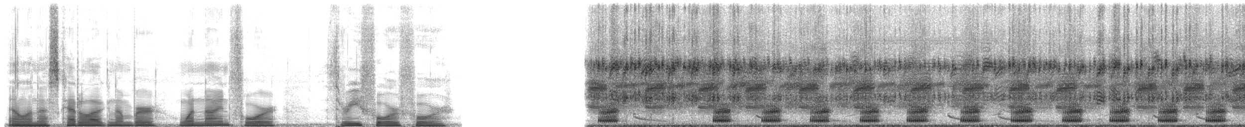 Rosenberg's Gladiator Frog - ML194344