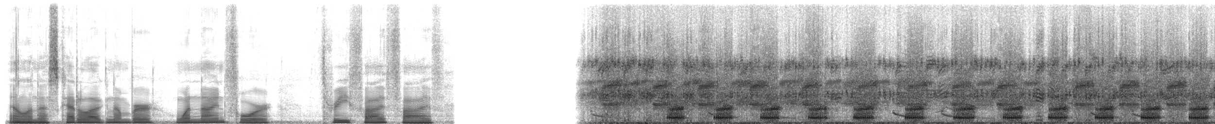 Emerald-eyed Tree Frog - ML194355